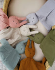 Organic Cotton Muslin Sage Bunny Lovey Blanket