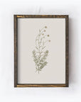 Floral Print Framed |Botanical Flower Print A106 - Cloth + Cabin