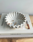 Kyma Concrete Scallop Bowl - Cloth + Cabin