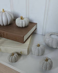 Concrete Pumpkins / White