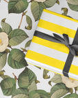 Camellia Gift Wrap Sheets