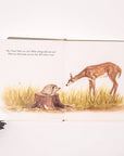 Our Little Adventures Board Book Box Set for Kids