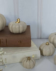 Concrete Pumpkins / Cream