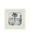 4x4 Nella Neoclassical Resin Photo Frame White
