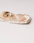 Rose Petal Goat Milk Soap w/ Dish - Cloth + Cabin
