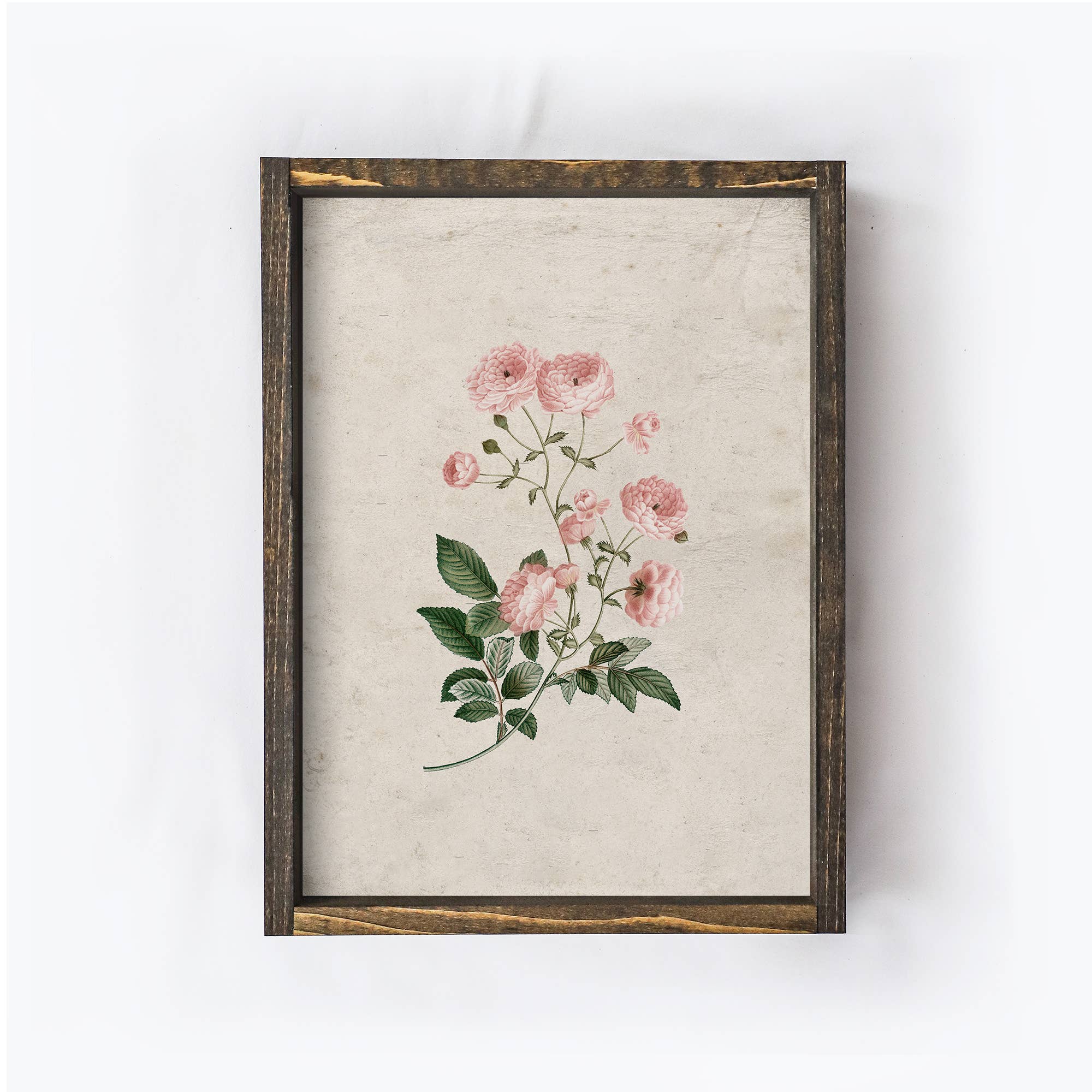 Vintage Pink Flower Print A302 - Cloth + Cabin