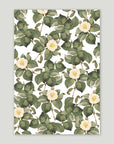 Camellia Gift Wrap Sheets
