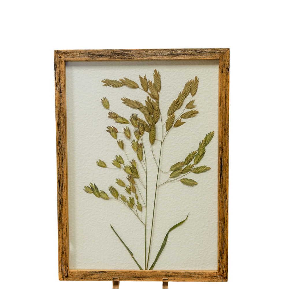 Pressed Greenery Botanical Wall Art - Cloth + Cabin