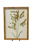 Pressed Greenery Botanical Wall Art - Cloth + Cabin