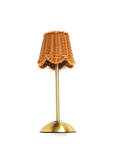 LED Rattan Scalloped Shade Desk Lamp