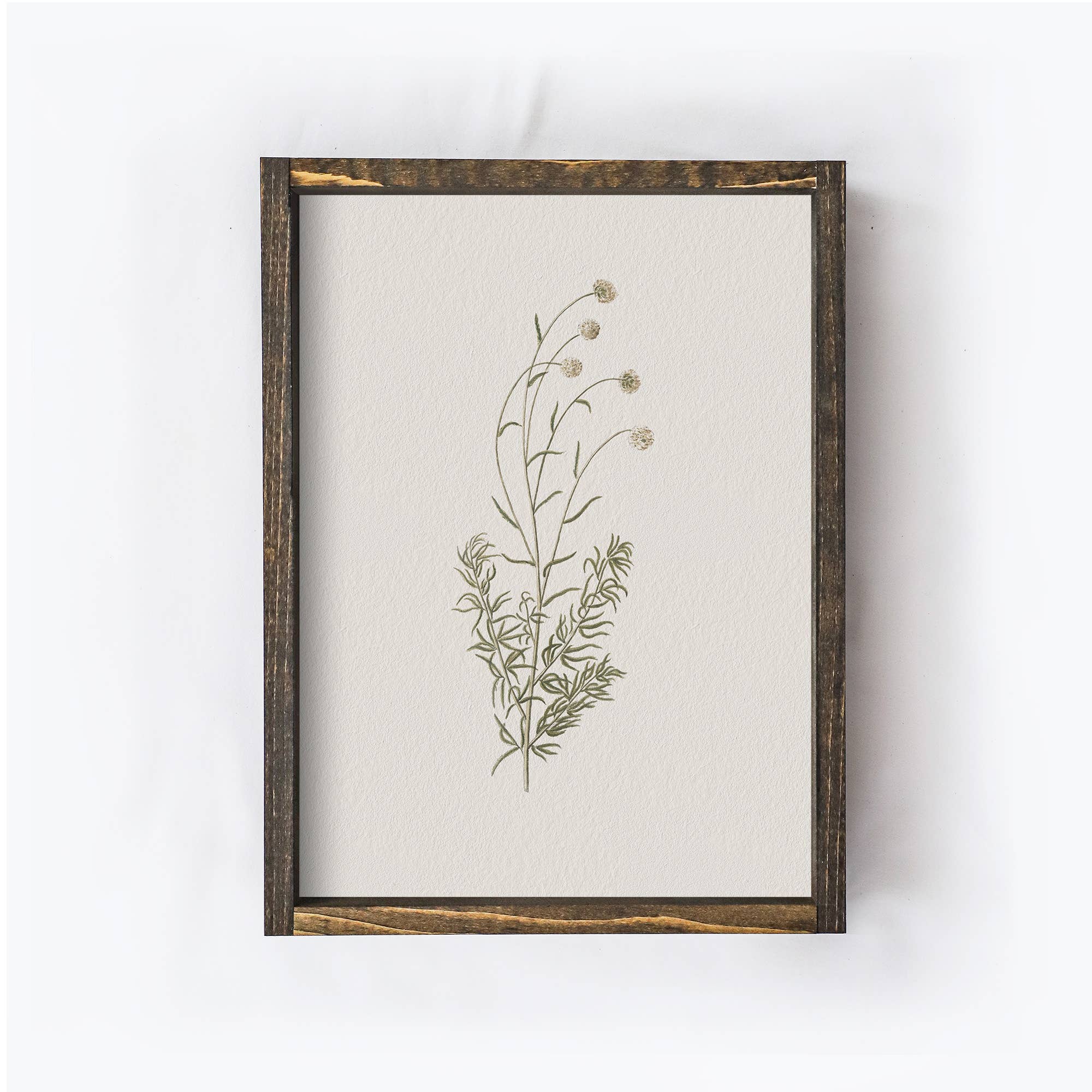 Floral Print Framed |Botanical Flower Print A106 - Cloth + Cabin