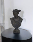 Bronze Grecian Bust Sculpture - Cloth + Cabin