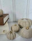 Concrete Pumpkins / Cream