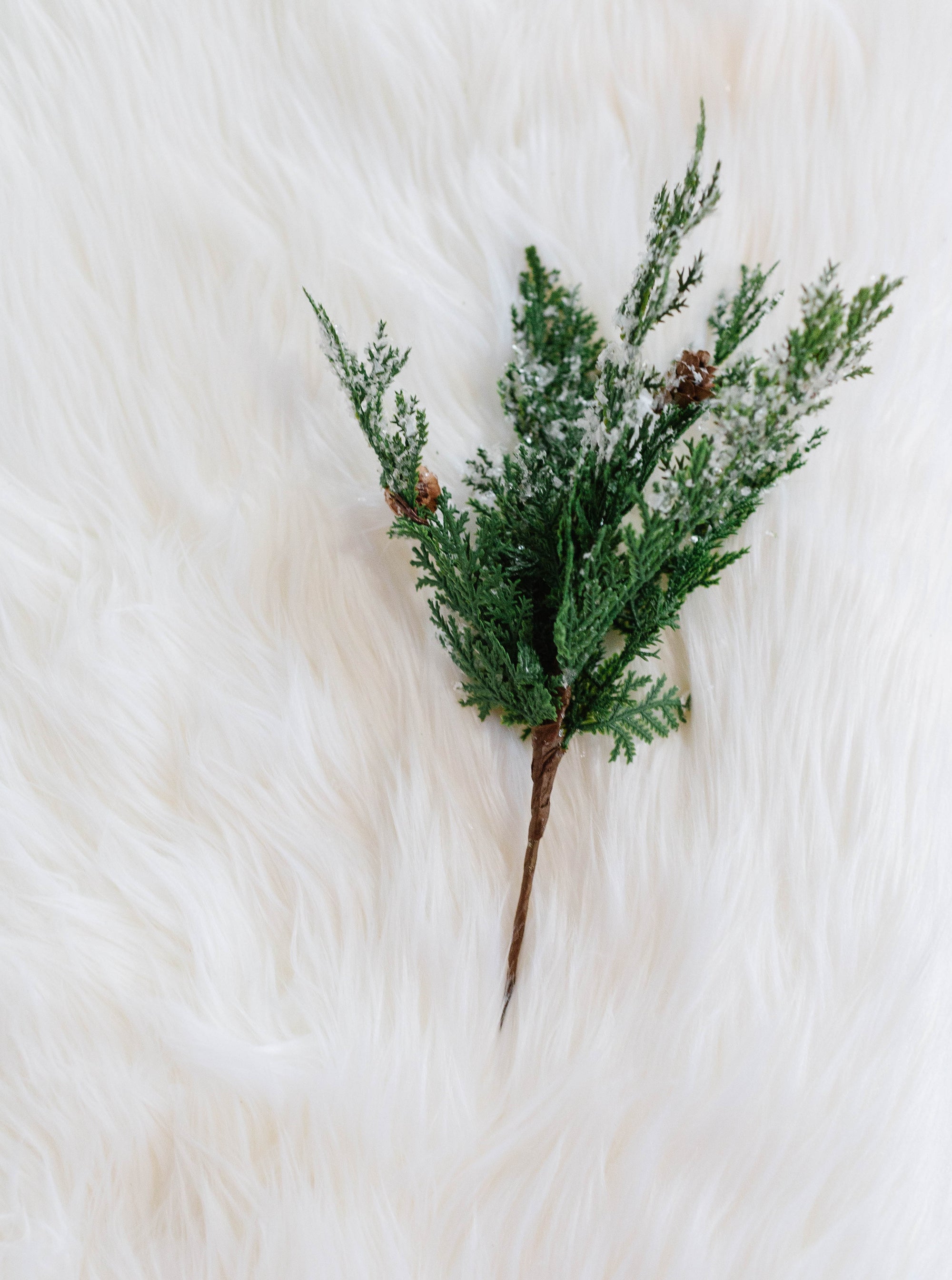 Snowy Cypress Stem - Cloth + Cabin