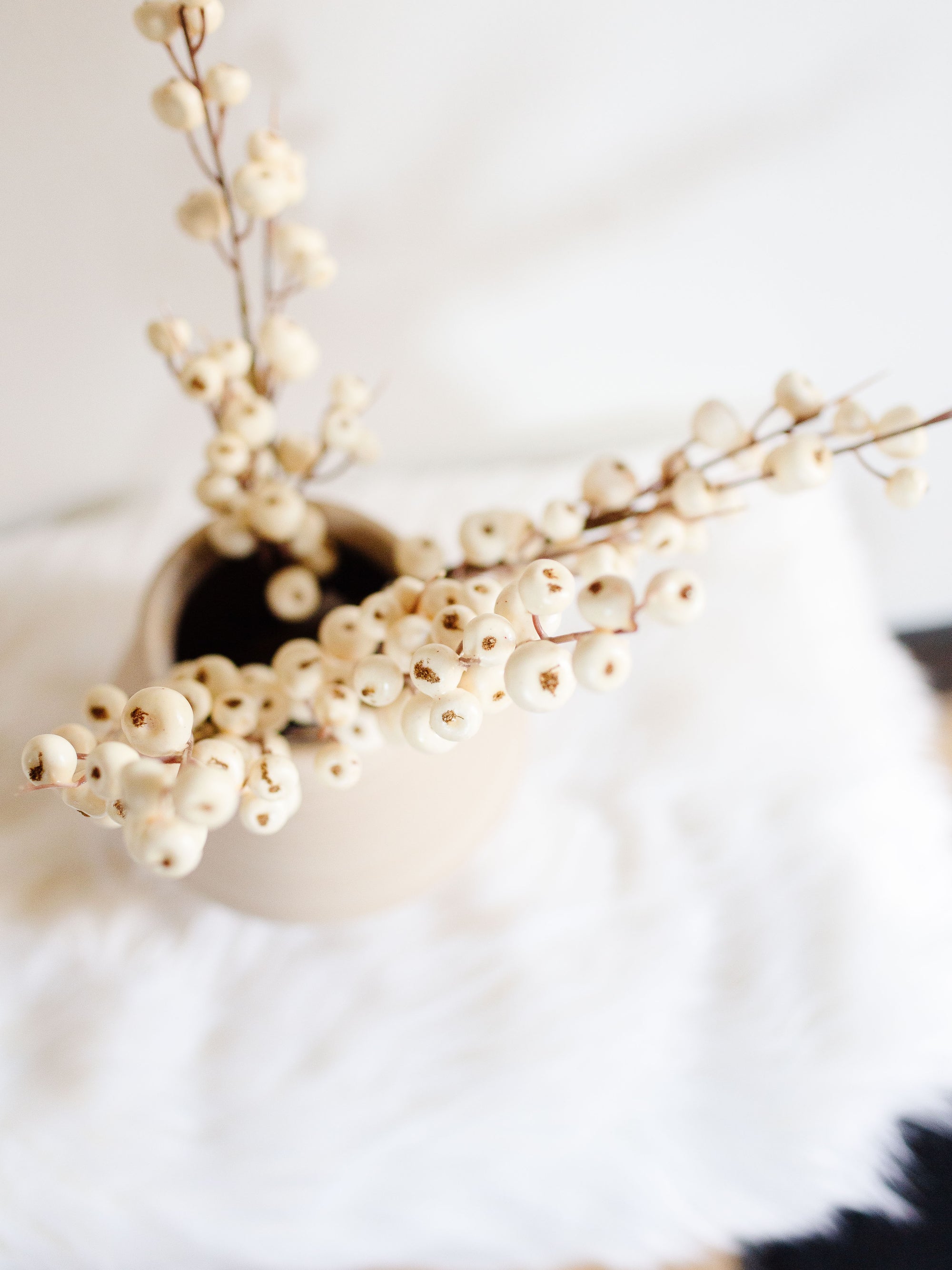 Snow Berry Stem - Cloth + Cabin