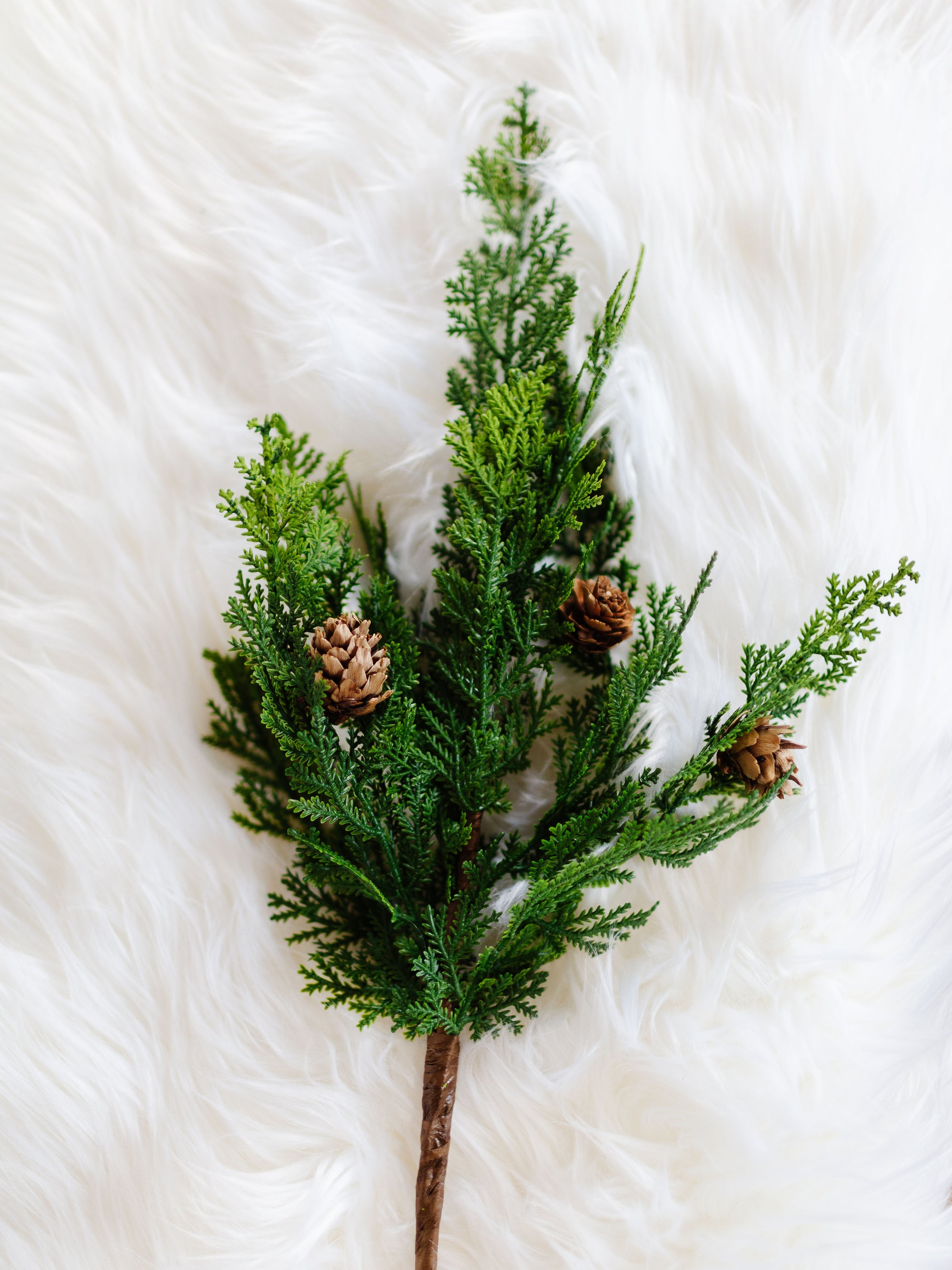 Cypress + Pine Cone Spray - Cloth + Cabin