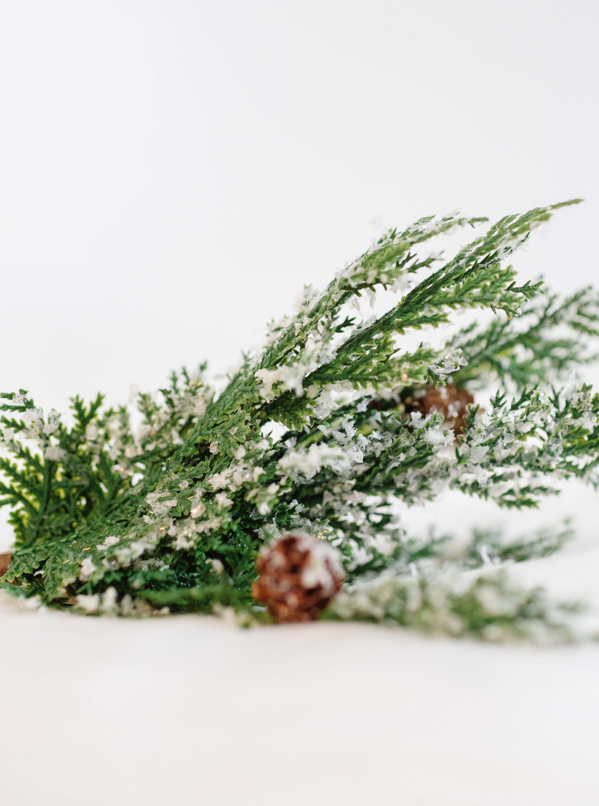 Snowy Cypress Stem - Cloth + Cabin